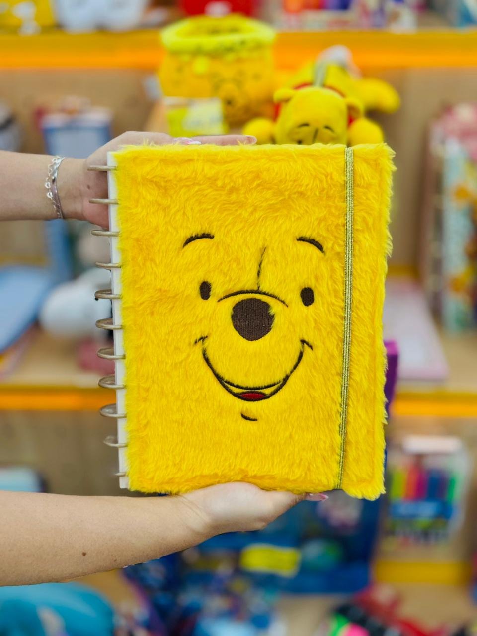 CADERNO TILIDISCO PELUCIA POOH